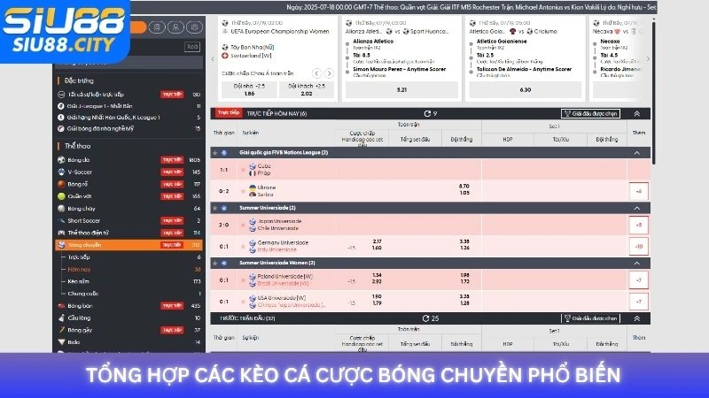 Tổng hợp các kèo cá cược bóng chuyền phổ biến