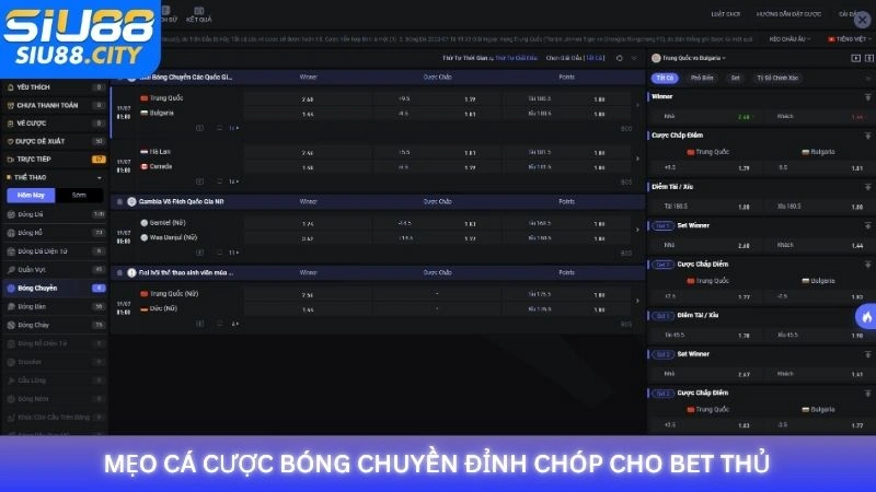 Mẹo cá cược bóng chuyền đỉnh chóp cho bet thủ