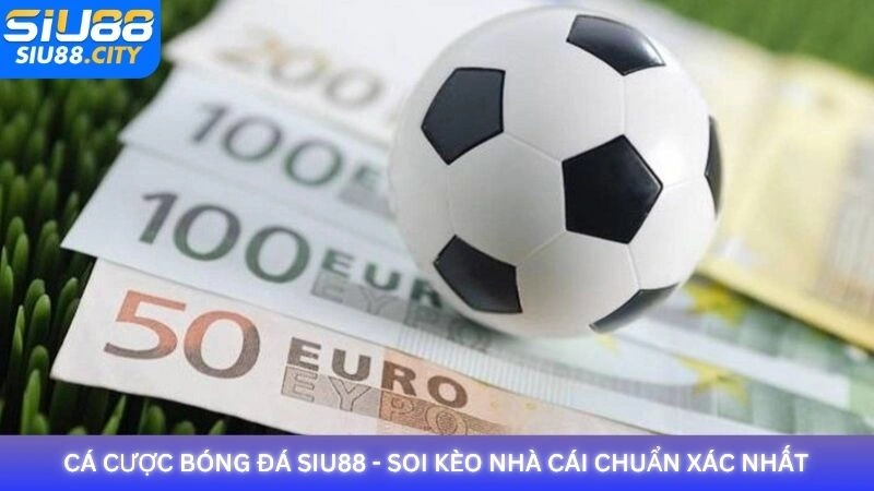 Cá cược bóng đá Siu88 - Soi kèo nhà cái chuẩn xác nhất