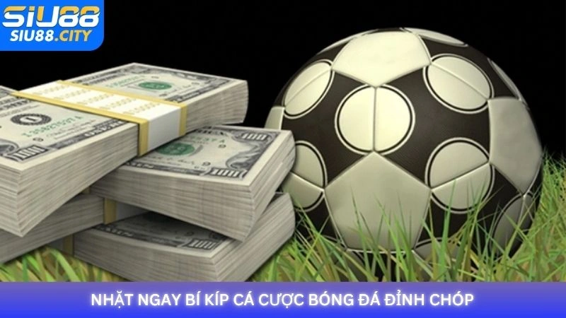 Nhặt ngay bí kíp cá cược bóng đá đỉnh chóp