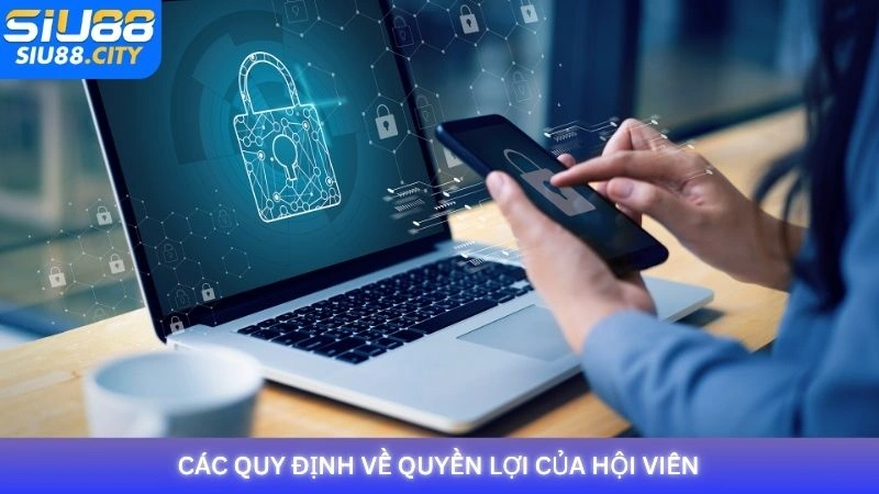 Các quy định của Siu88 về quyền lợi của hội viên