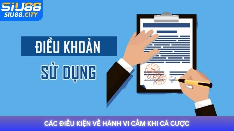 Các điều kiện về hành vi bị nghiêm cấm khi cá cược tại Siu88