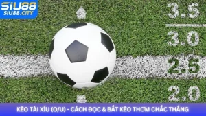 Kèo Tài Xỉu (O/U) - Cách đọc & bắt kèo thơm chắc thắng