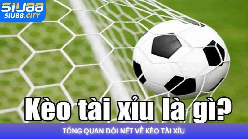 Tổng quan đôi nét về kèo Tài Xỉu