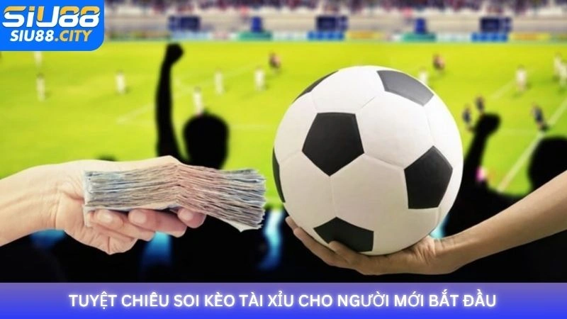 Tuyệt chiêu soi kèo Tài Xỉu cho người chơi mới tại Siu88