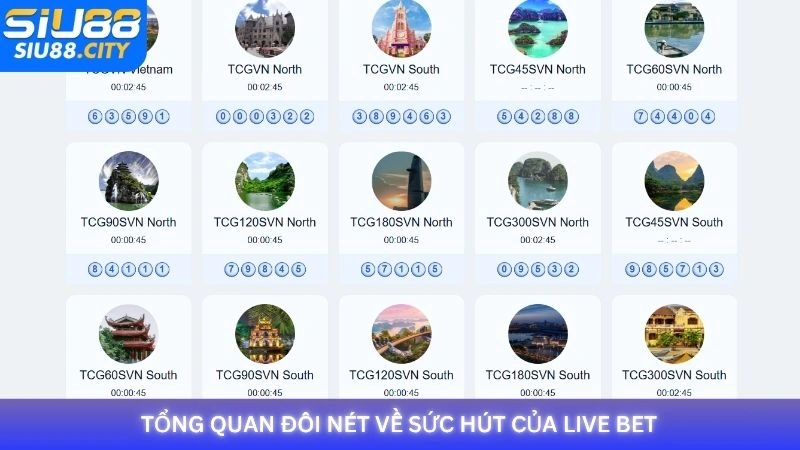 Tổng quan về sức hút của trò chơi xổ số Live bet tại Siu88
