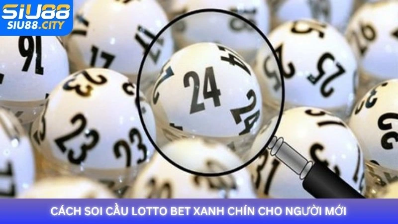 Cách soi cầu Lotto Bet xanh chín cho người mới