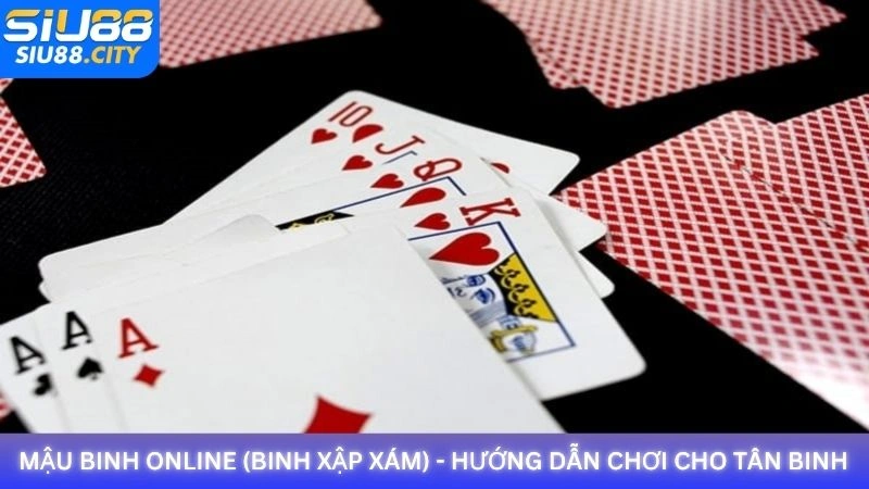 Hướng dẫn chơi Mậu Binh online chuẩn nhất cho tân binh Siu88