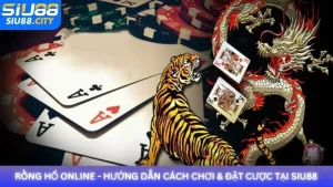 Rồng Hổ Online - Hướng dẫn cách chơi & đặt cược tại Siu88