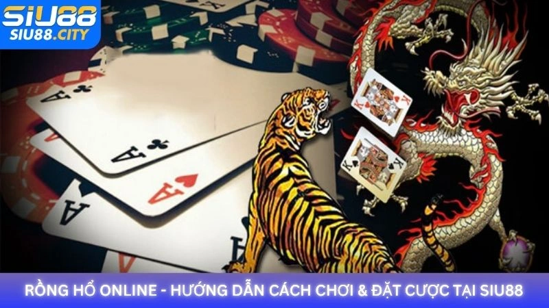 Rồng Hổ Online - Hướng dẫn cách chơi & đặt cược tại Siu88