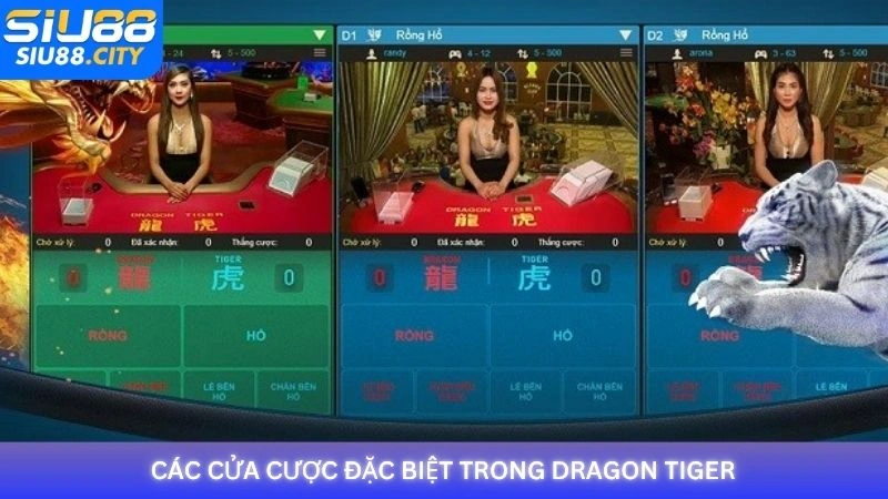 Các cửa cược đặc biệt trong Dragon Tiger tại Siu88