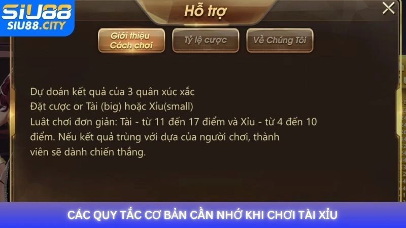 Các quy tắc cơ bản cần nhớ khi chơi Tài Xỉu
