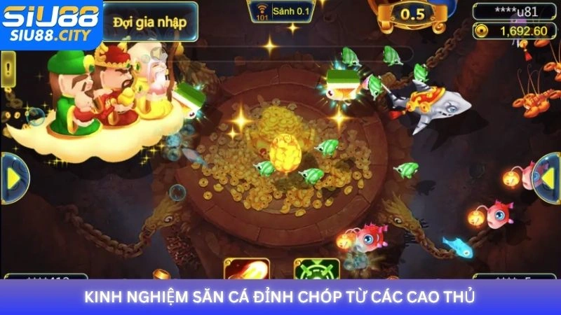 Kinh nghiệm săn cá đỉnh chóp từ các cao thủ