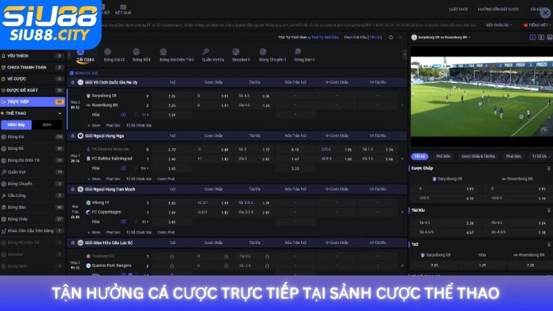 Tận hưởng cá cược trực tiếp tại sảnh cược thể thao